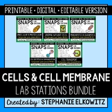 Cells Lab Stations Bundle | Printable, Digital & Editable
