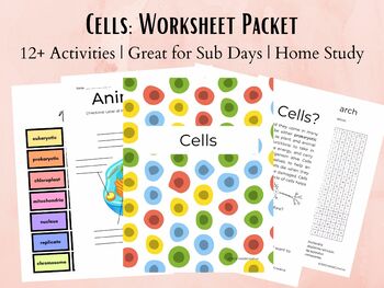 Preview of Cells Life Science Worksheet Packet for Middle School Science Class Homeschool