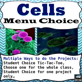 Preview of Cells Menu Choice 
