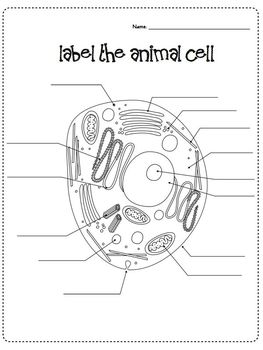 Cells & Microscope Activity Unit by Free to Teach | TpT