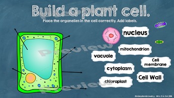 Cells & Organelles Interactive Student Activity by Mrs D in GA | TpT