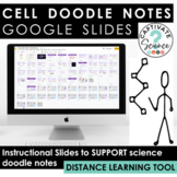 Cells (Plant and Animal) Doodle Notes GOOGLE SLIDES