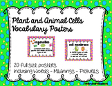 Cells: Plant and Animal Vocabulary Posters