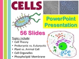 Cells PowerPoint Presentation (.ppt) for Biology Life Science