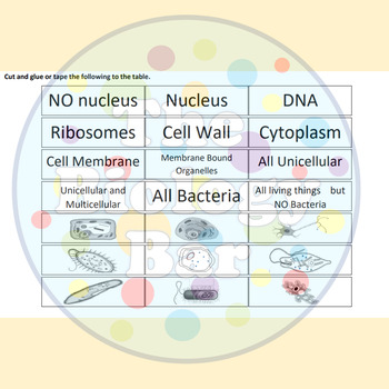 Cells Prokaryote Eukaryote Table and Venn Diagram by The Biology Bar