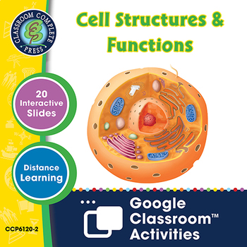 Cells, Skeletal & Muscular Systems: Cell Structures & Functions - Google  Slides