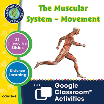 Preview of Cells, Skeletal & Muscular Systems: The Muscular System –Movement -Google Slides