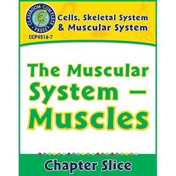 Preview of Cells, Skeletal & Muscular Systems: The Muscular System - Muscles Gr. 5-8