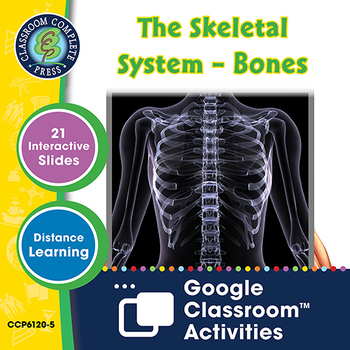 Preview of Cells, Skeletal & Muscular Systems: The Skeletal System – Bones - Google Slides