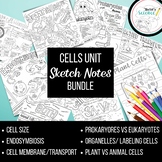 Cells Unit Sketch/Doodle Notes Bundle
