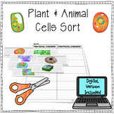 Cells Sort - Examples of Plants and Animals Cells- Digital