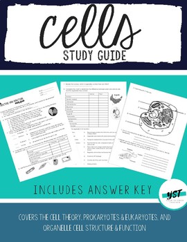 Preview of Cells Study Guide