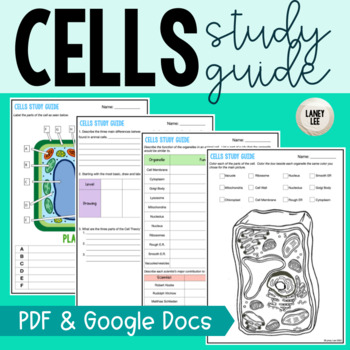 Preview of Cells Study Guide