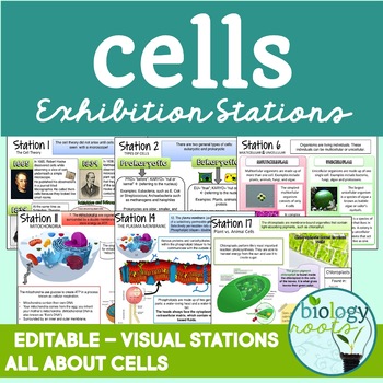 Preview of Cells Exhibition Stations