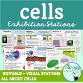 Cells Exhibition Stations