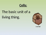 Cells: The Basic Structures and Functions PowerPoint