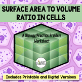 Surface Area to Volume Ratio in Cells