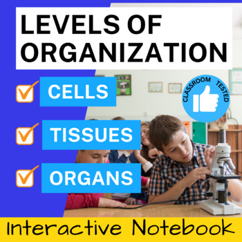 Preview of Levels of Organization Cells, Tissues, Organs Interactive Notebook