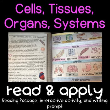 Preview of Cells, Tissues, Organs, Systems Read and Apply Notebook Activity {NGSS MS-LS1-3}