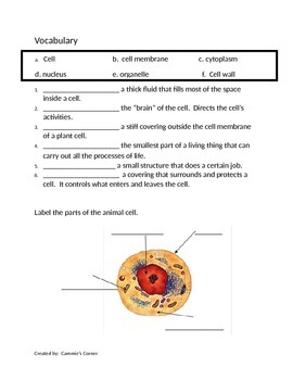 Cells Unit - ASSESSMENT - 5th Grade Science by Cammie's Corner | TpT