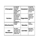 Cells Vocabulary Matching Game