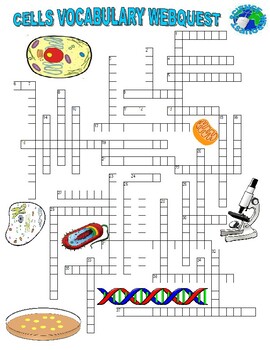 Preview of Cells Vocabulary Webquest Puzzle (science / biology / internet / key)
