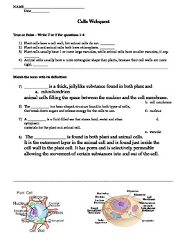 Preview of Cells Webquest - Plants vs. Animals