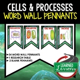Cells Word Wall 34 Pennants (Life Science Word Wall)