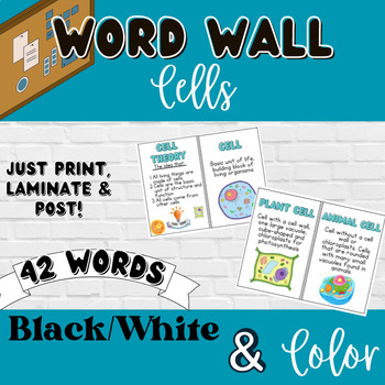 Preview of Cells Word Wall (Organelles, Mitosis, Transport, etc) B/W & Color- 42 Words!!