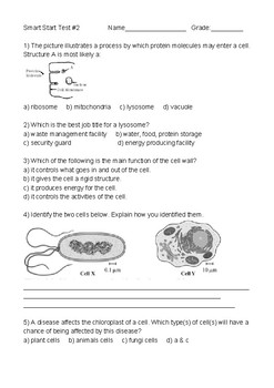 Cells Worksheet by New Generation Math and Science | TpT