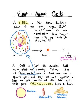 Cells and DNA Visual Study Guide by Brian I The Science Guy | TpT