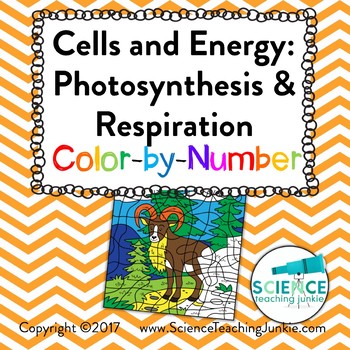 Cells and Energy: Photosynthesis and Respiration Color-by-Number