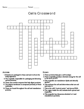Cells and Organelles Crossword by Vincent Favilla | TpT