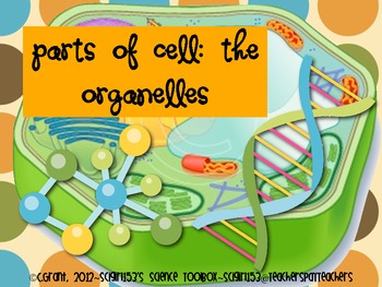 Preview of Cells and Organelles PowerPoint Presentation