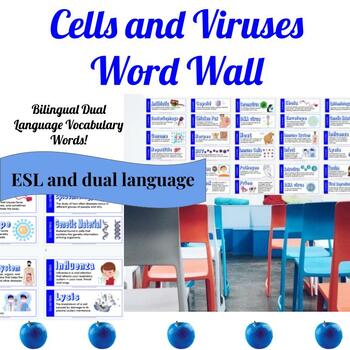 Preview of Cells and Viruses | Dual Language ESL Word Wall || STAAR Aligned Vocabulary