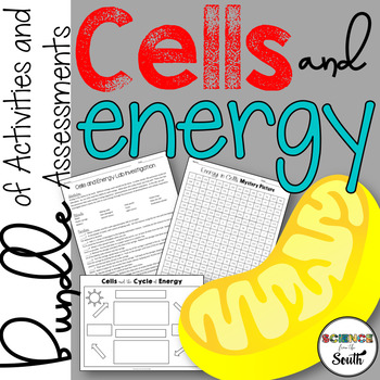 Preview of Cell Energy Bundle of Photosynthesis and Respiration Activities and Assessments