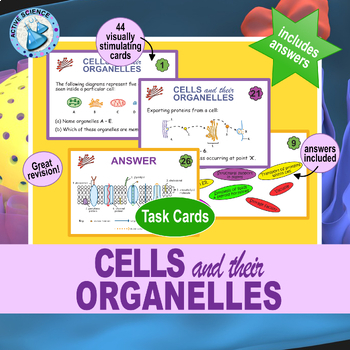 Preview of Cells and their Organelles (Task Cards)