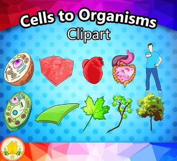 Preview of Cells to Organisms Clipart