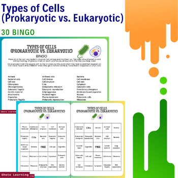 Preview of Cellular Bingo: Prokaryotic vs. Eukaryotic Bingo Sheet Set
