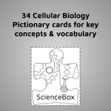 Cellular Biology Pictionary Cards - Review