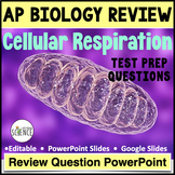 Cellular Cell Respiration Advanced Placement AP Biology Re