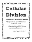 Cellular Division Interactive Notebook