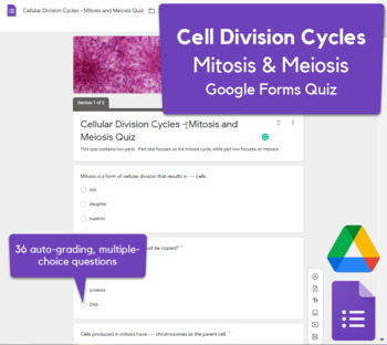 Preview of Cellular Division / Replication - Mitosis & Meiosis Quiz in Google Forms