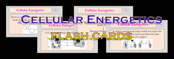 Preview of Cellular Energetics Flash Cards