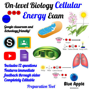 Preview of Cellular Energy Test || Photosynthesis and Respiration Exam || Google Forms Quiz