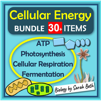 Preview of Cell Energy Unit Bundle Photosynthesis and Cellular Respiration Digital + PPT
