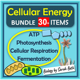 Cell Energy Unit Bundle Photosynthesis and Cellular Respir
