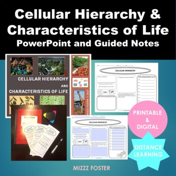 Preview of Cellular Hierarchy, Organization & Characteristics of Life: PPT and Guided Notes