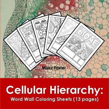 Preview of Cellular Hierarchy Word Wall Coloring Sheets (13 pages)