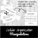 Cellular Organization Manipulatives